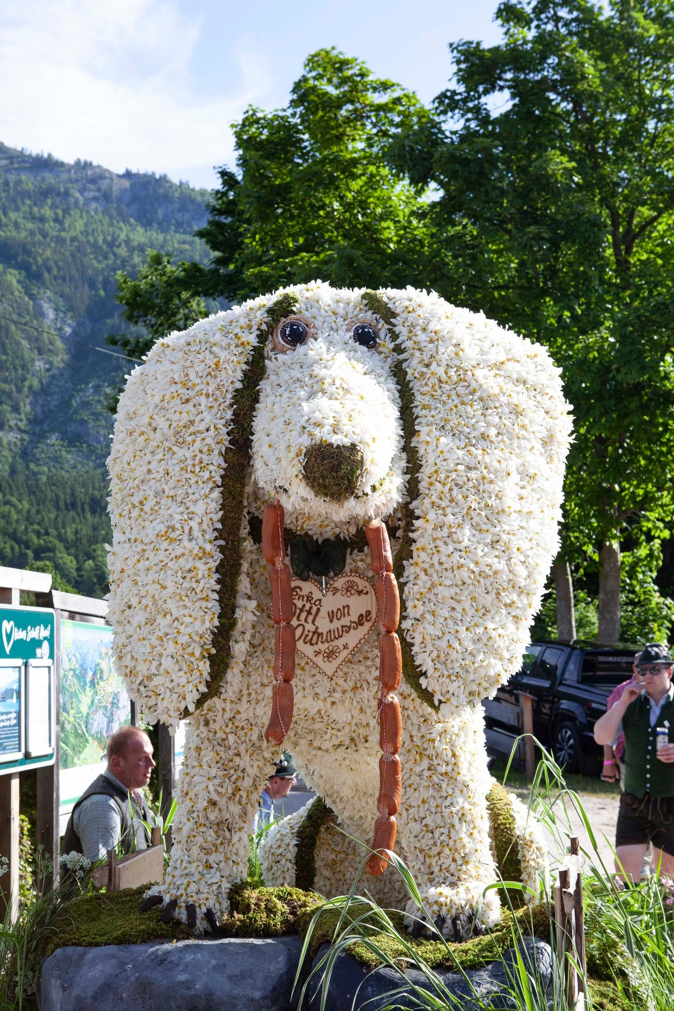 Die Figur Der Sumpfdackl